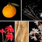 Preview: Duftnoten: Mandarine, gesalzene Vanille, Ingwerblüte, Sandelholz, Jasmin Preview: Duftnoten: Mandarine, gesalzene Vanille, Ingwerblüte, Sandelholz, Jasmin